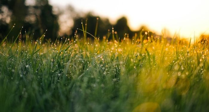 7 Inspiring Books About Nature and the Environment