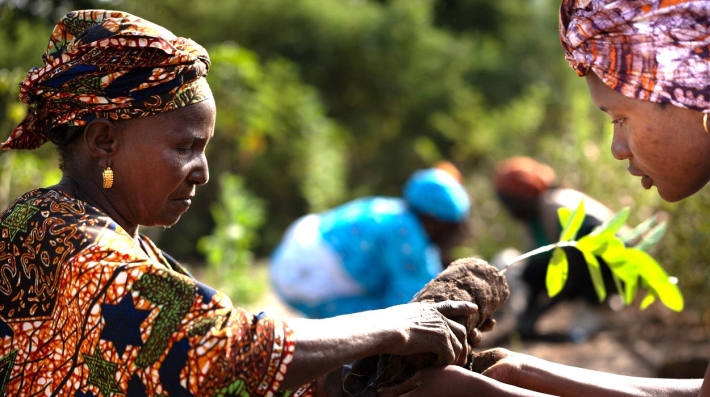 About the United Nations Environment Programme