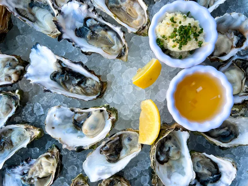 Recycling Shells For Baby Oysters Reaps Financial, Environmental Gains