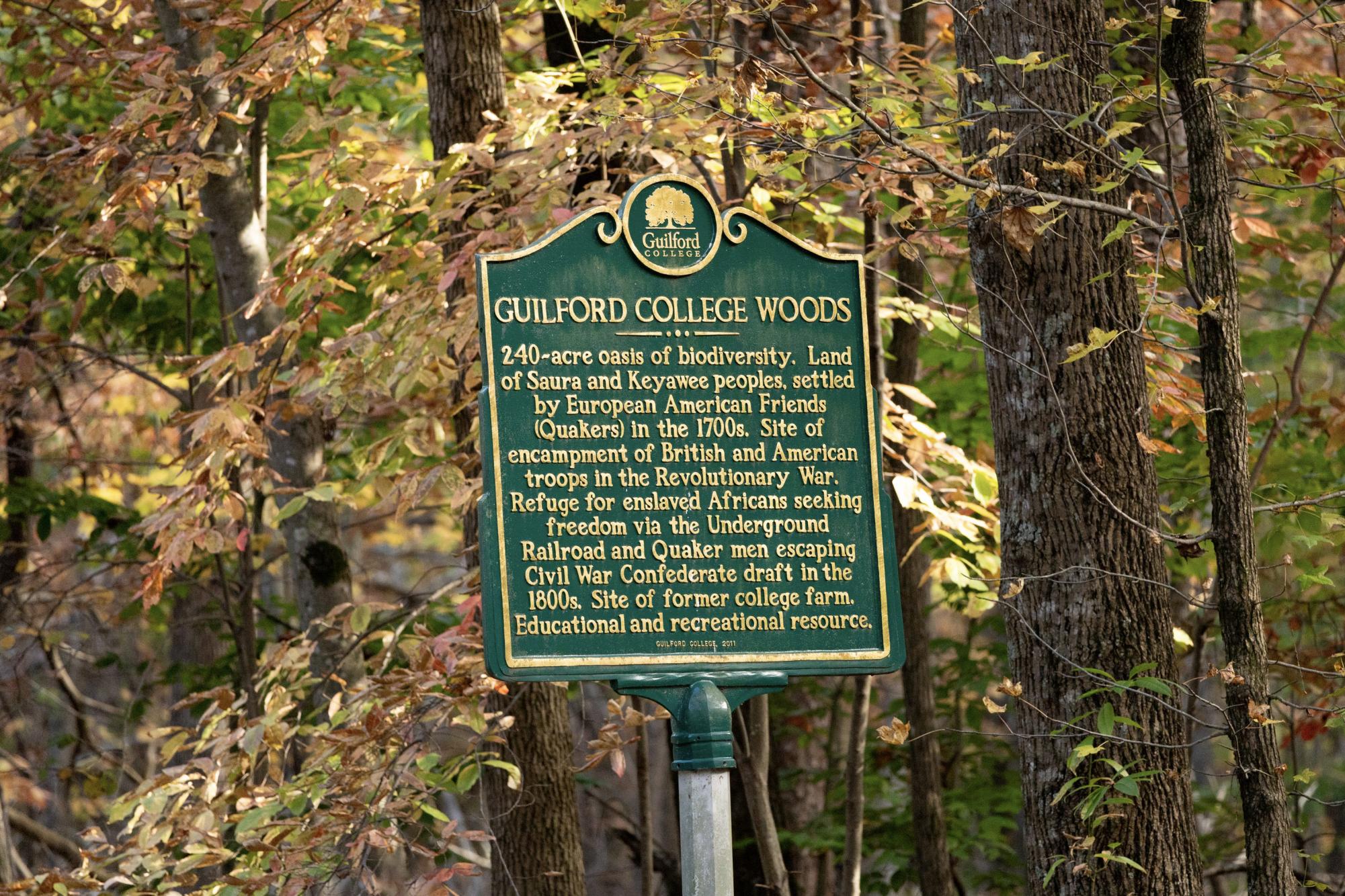 Efforts begin to finance the conservation of the Guilford Woods