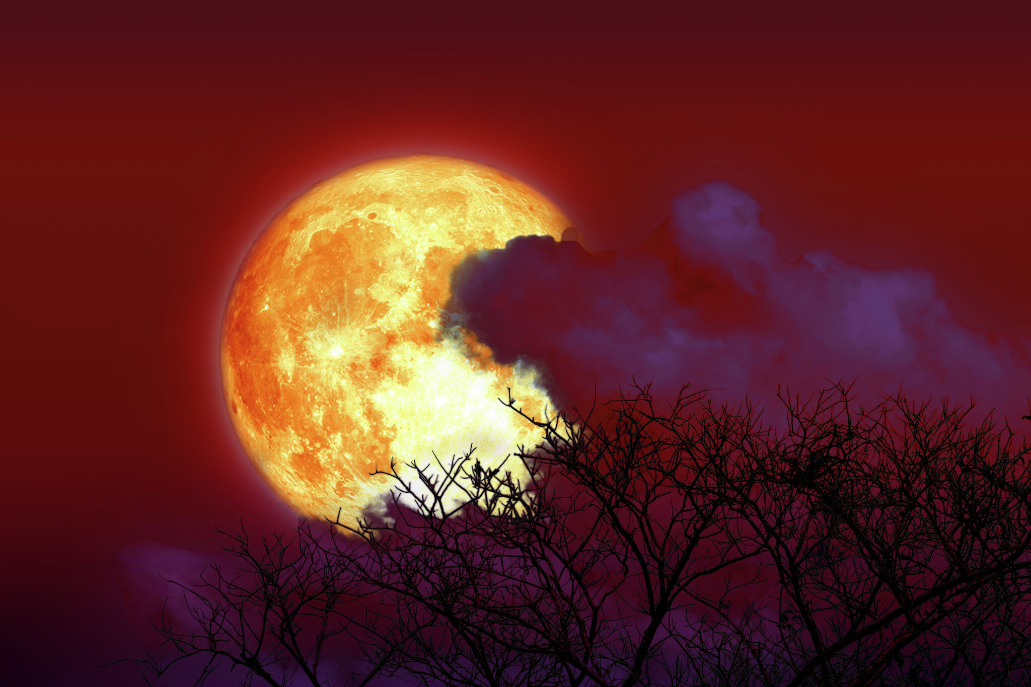 Rare strawberry moon visible in Texas. Here's when.