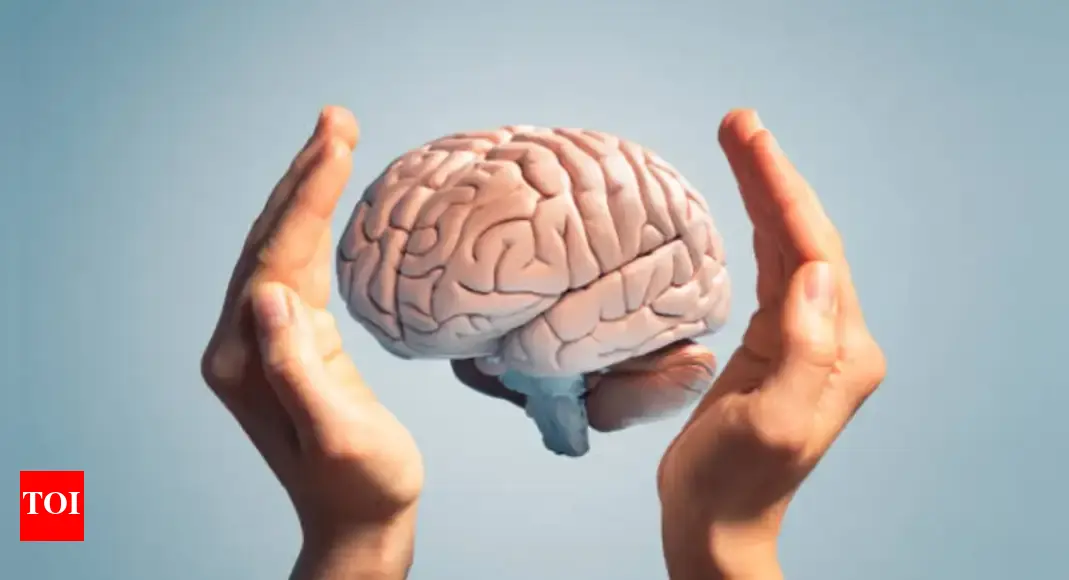 MIT scientists look beyond neurons to understand how the brain stores information