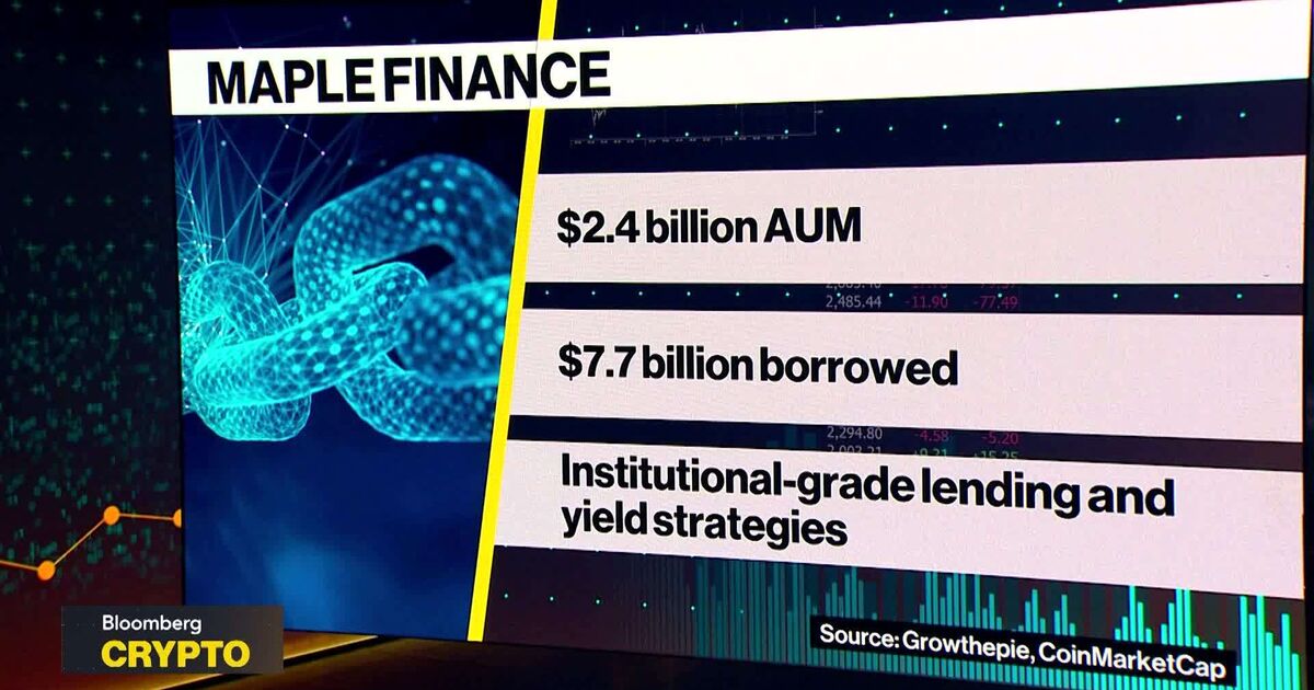Interested In Bitcoin Backed Lending: Maple Finance CEO