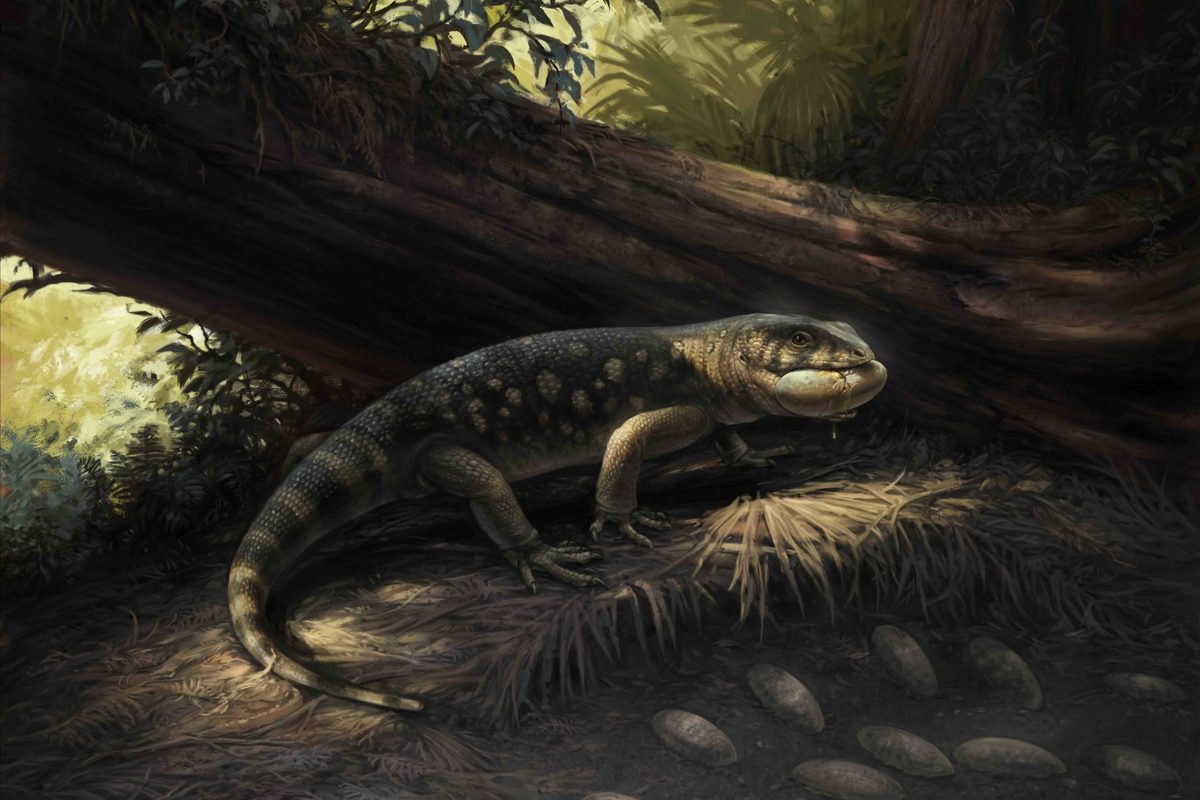 Jar of ancient 'goblin' bones found in Utah museum a truly monstrous discovery, say scientists