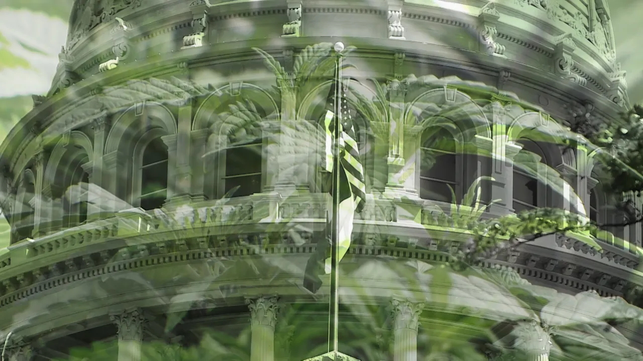 ‘We’re going to lose it all’: Texas hemp business faces closure under THC ban