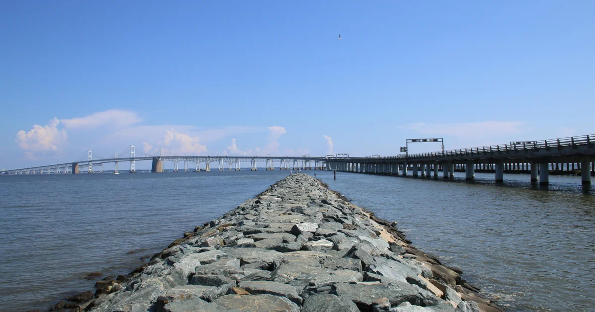 Chesapeake Bay watershed health declined in 2024, report shows