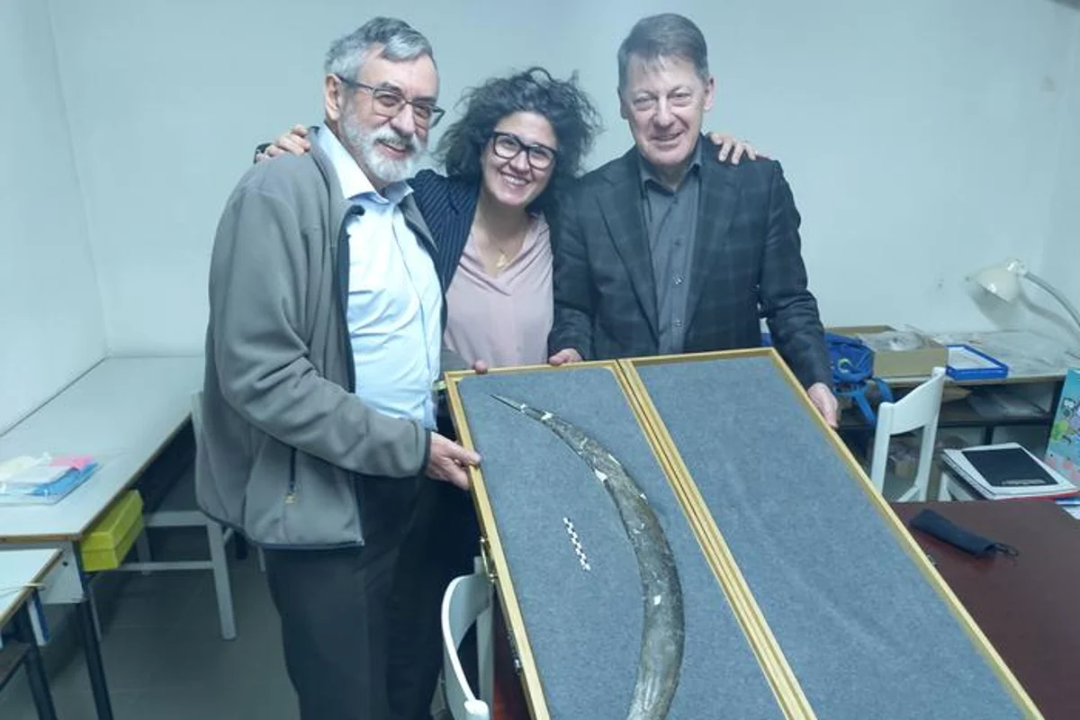 Archaeologists discover what could be world’s oldest boomerang in Europe