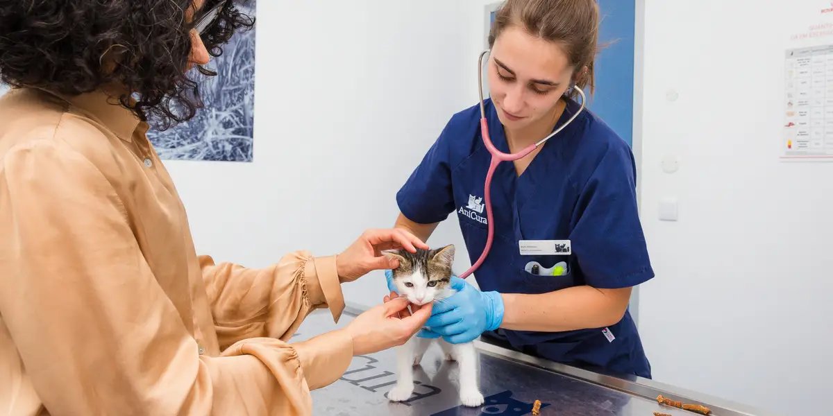 How your pet's next vet visit could help protect your health, too