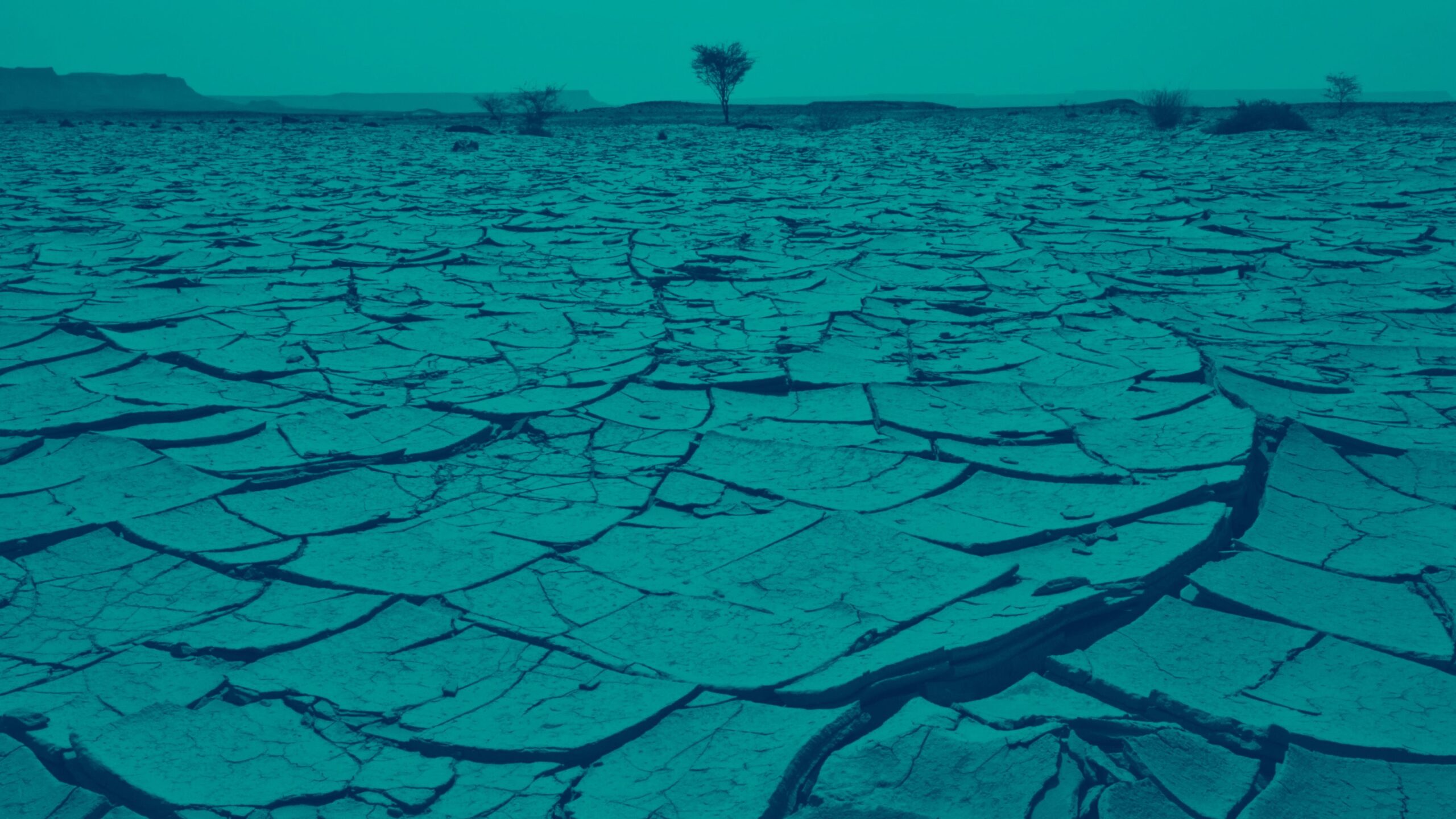 Remittances and the Climate Finance Crisis