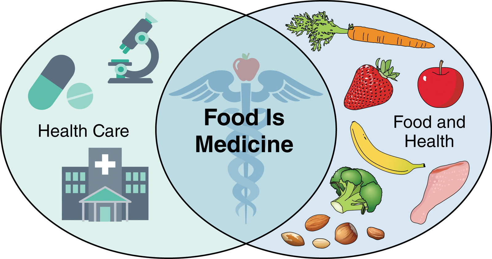 Food is Medicine: A Strategic Shift in State Health Policy