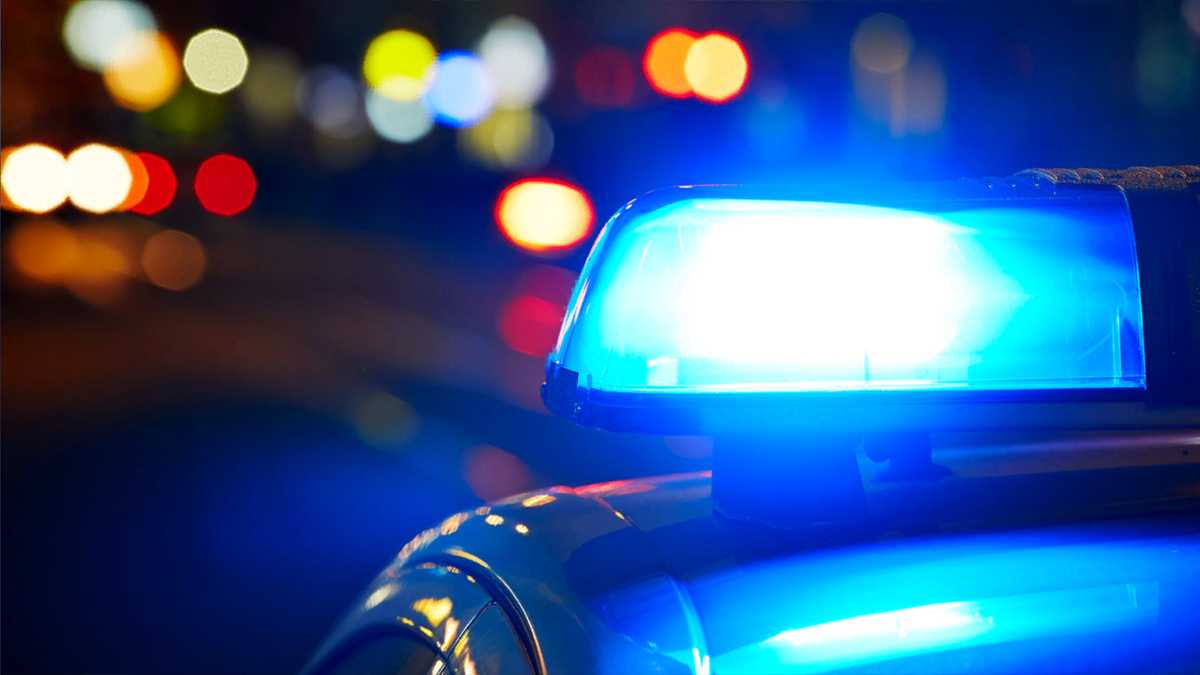 Greenville business owner charged with identity fraud, drugs, and counterfeit goods in major bust