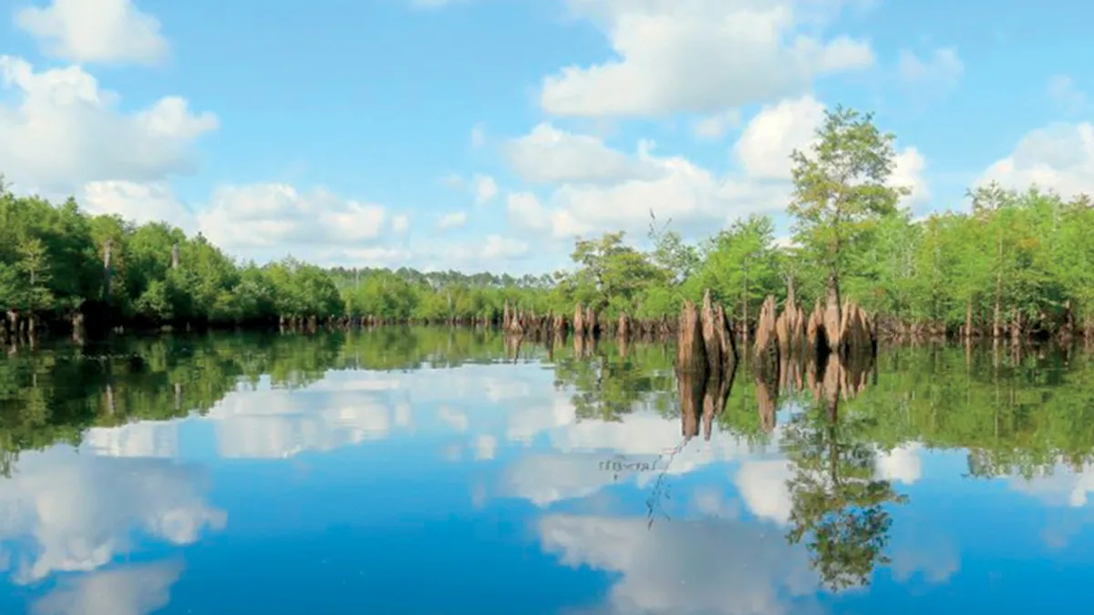 Florida environment agency denies permit to drill for oil near Apalachicola River