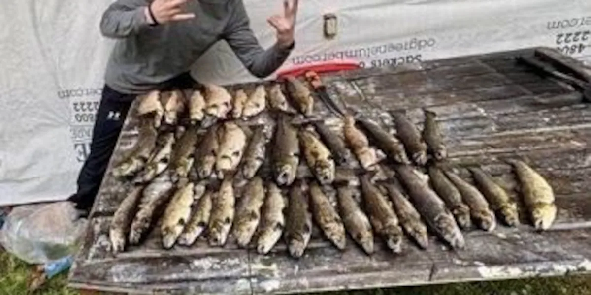 Man had too many trout, say environment officers