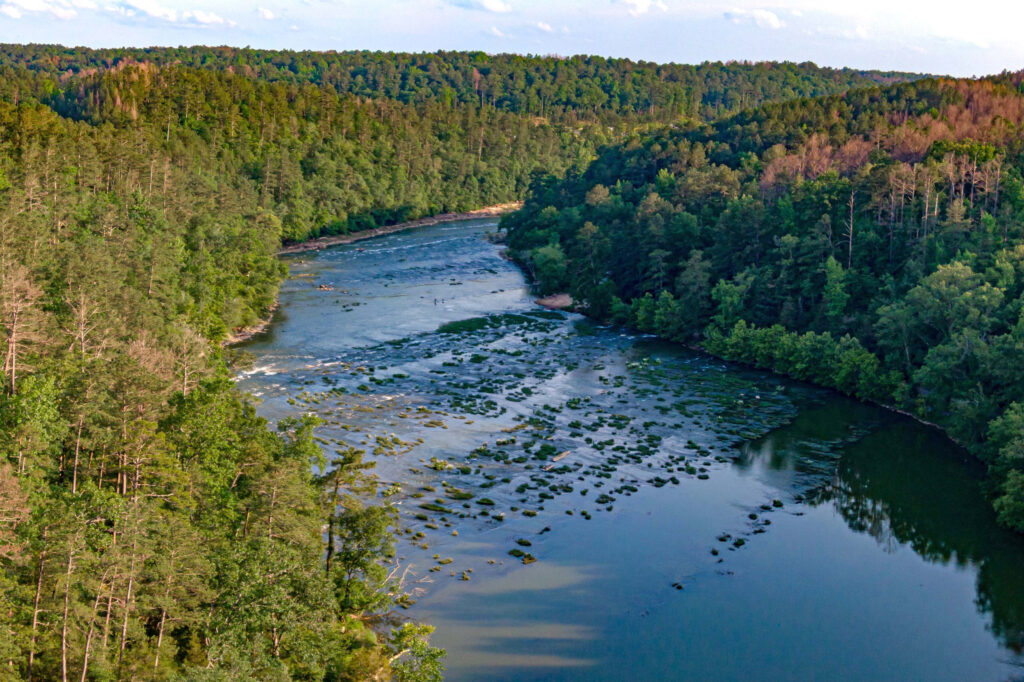 Alabama Environmental Groups Secure Rare Win in Fight to Update Water Toxicity Standards