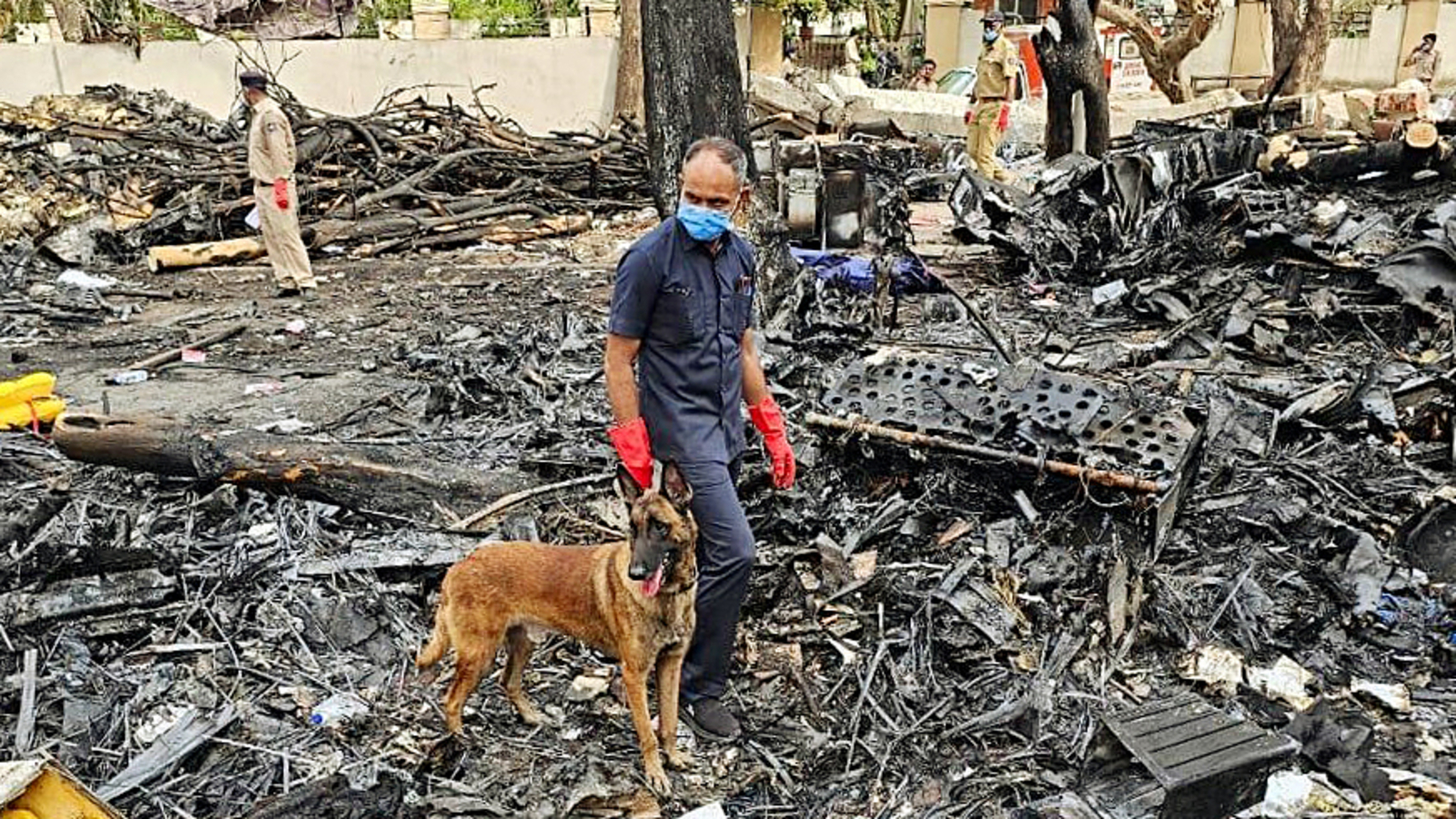 Ahmedabad plane crash: 162 victims identified through DNA sampling, 120 handed over to kin