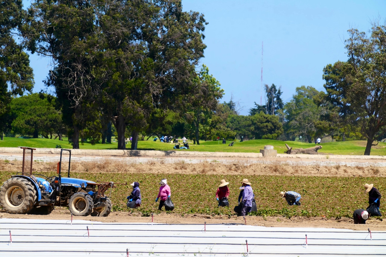 ICE raids at hotels, restaurants and farms scare off workers, baffle businesses