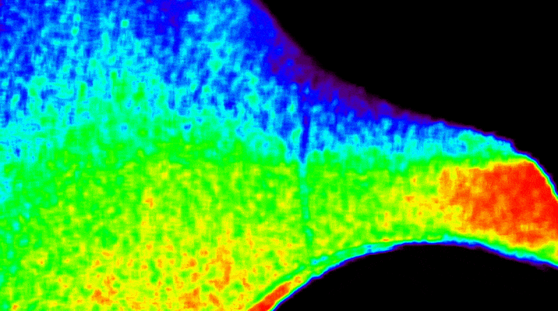 NASA's CODEX Captures Unique Views of Sun's Outer Atmosphere