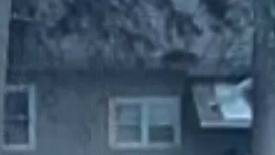 Raccoons, squirrels force delay of Milwaukee business opening