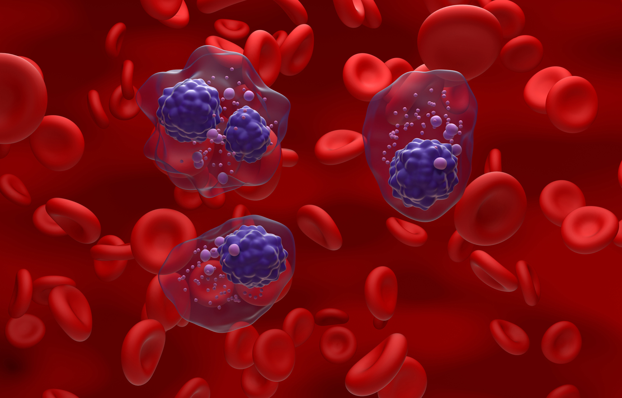 Lower health literacy increases mortality risk for cancer patients