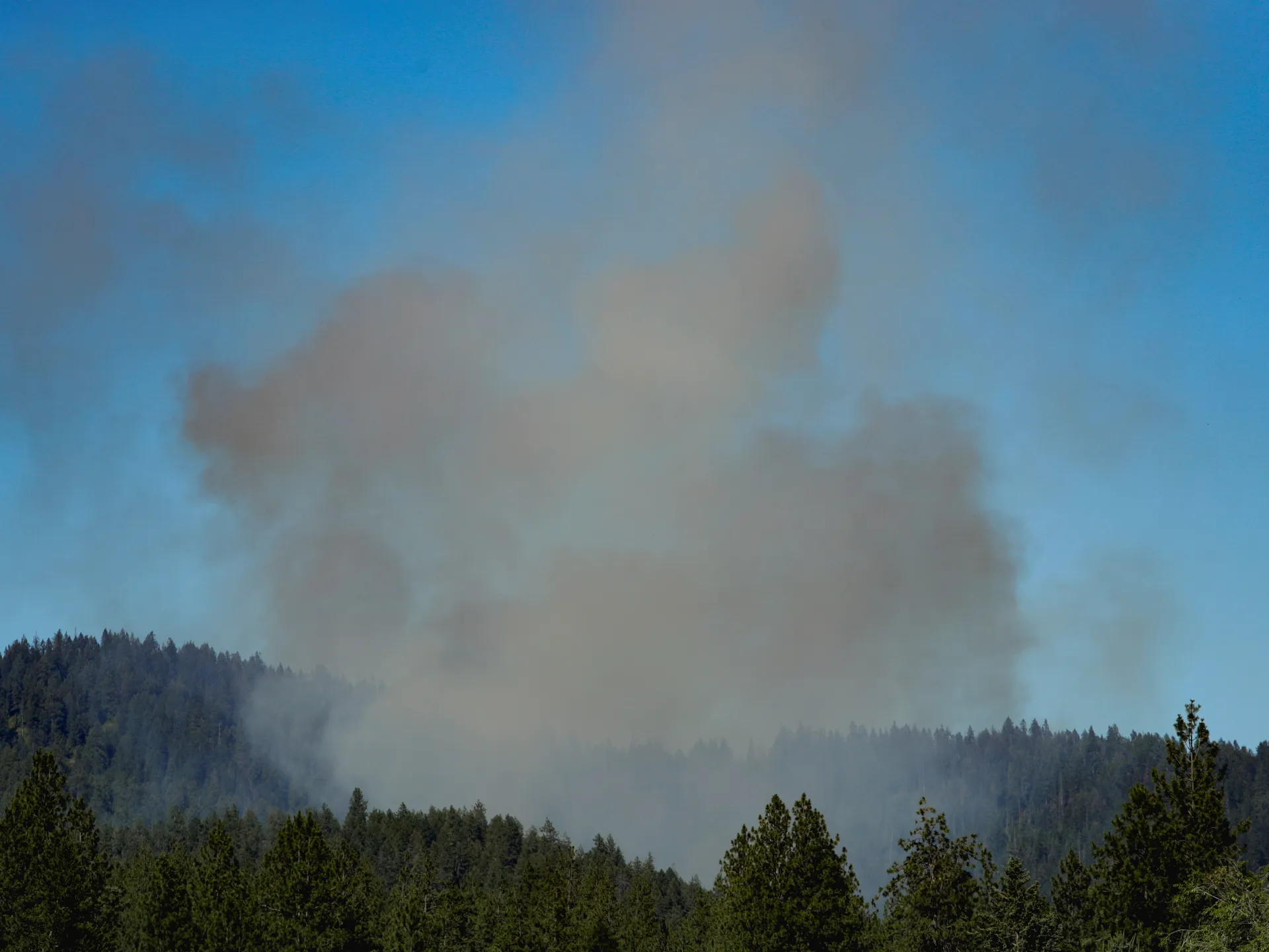 Two Idaho firefighters shot dead: All you need to know