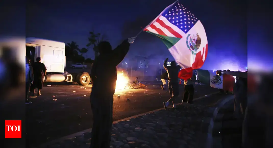 A Song of ICE and Fire: How Donald Trump's immigration raids sparked the LA riots | World News