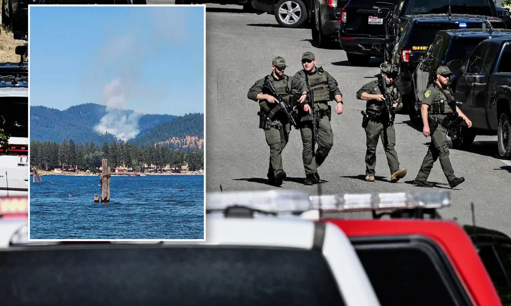 Two firefighters killed, one wounded in ambush during brush fire response