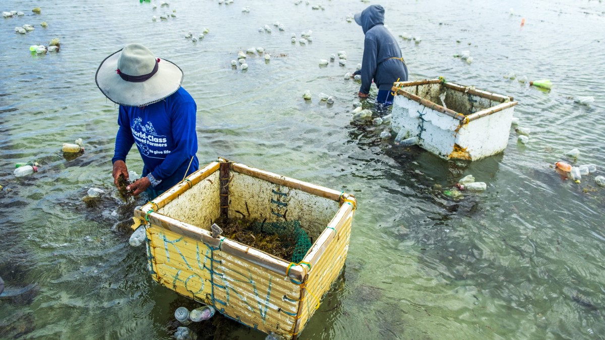 New Report Reveals the Emerging Finance Models to Bridge the Climate Funding Gap