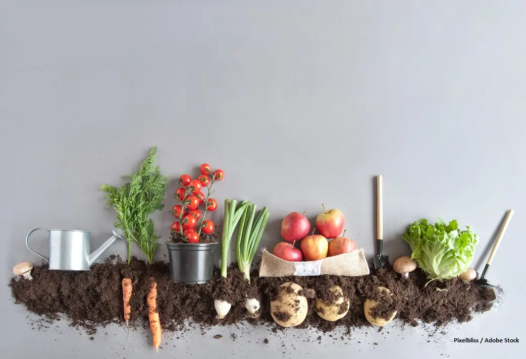 Vegetarian Lifestyle May Promote Lower Risk of Cancer