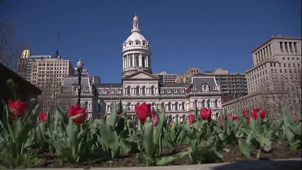 Comptroller abstains from travel votes, calls for board reform