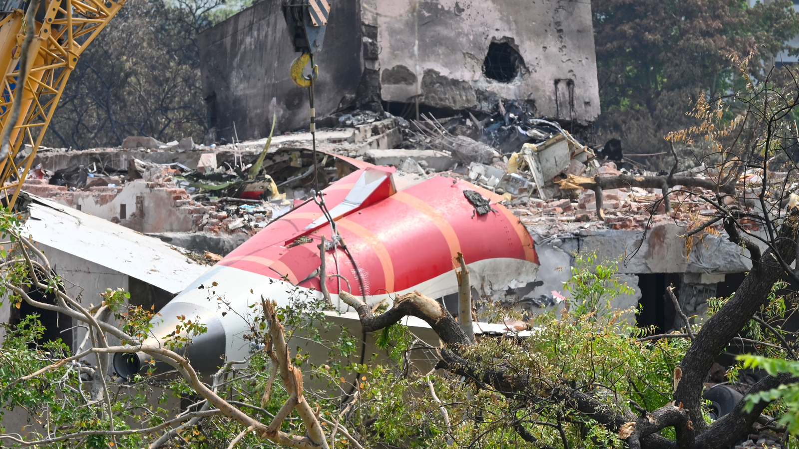 Hoax threats, Air India crash link: Inside techie's revenge plot for unrequited love