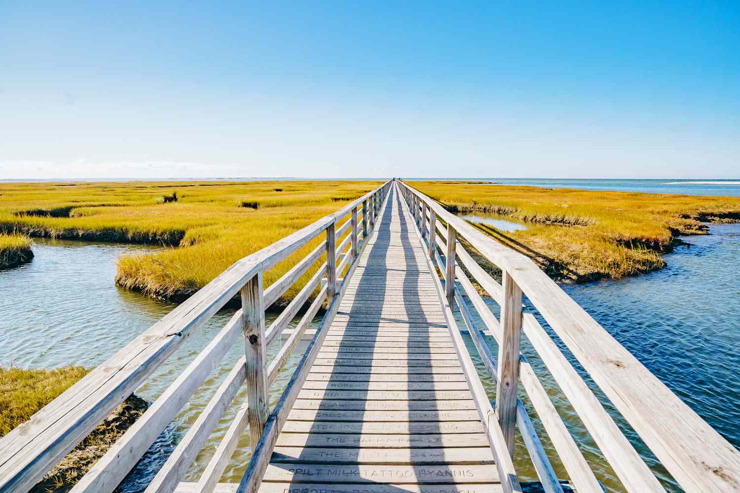 How to Experience Cape Cod Like a Local, With Charming Boutique Hotels, Fresh Seafood, and Stunning
