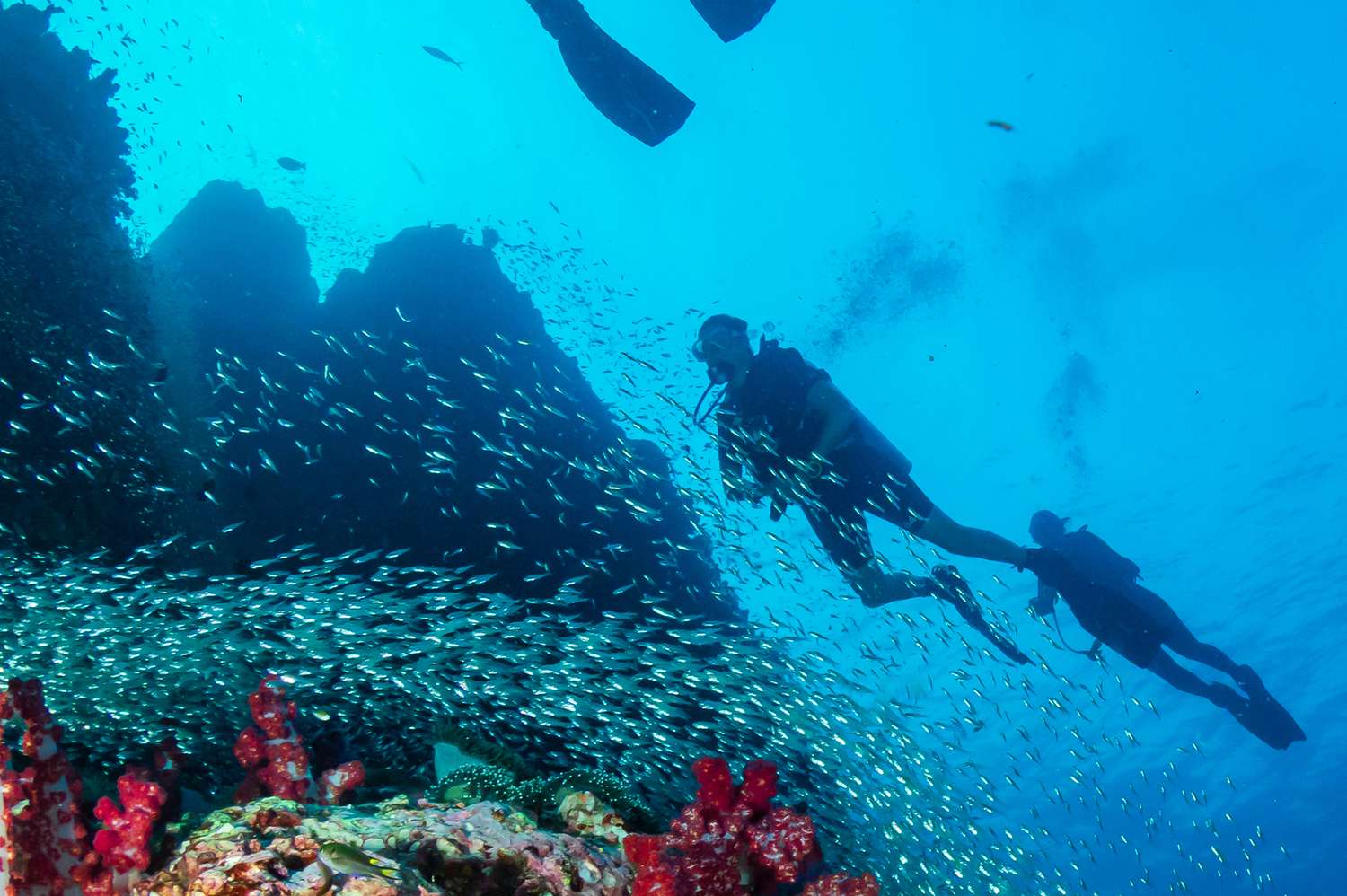 This Shipwreck Could Hold $24 Million of Treasure—and You Could Hunt for It on This Exclusive Tour