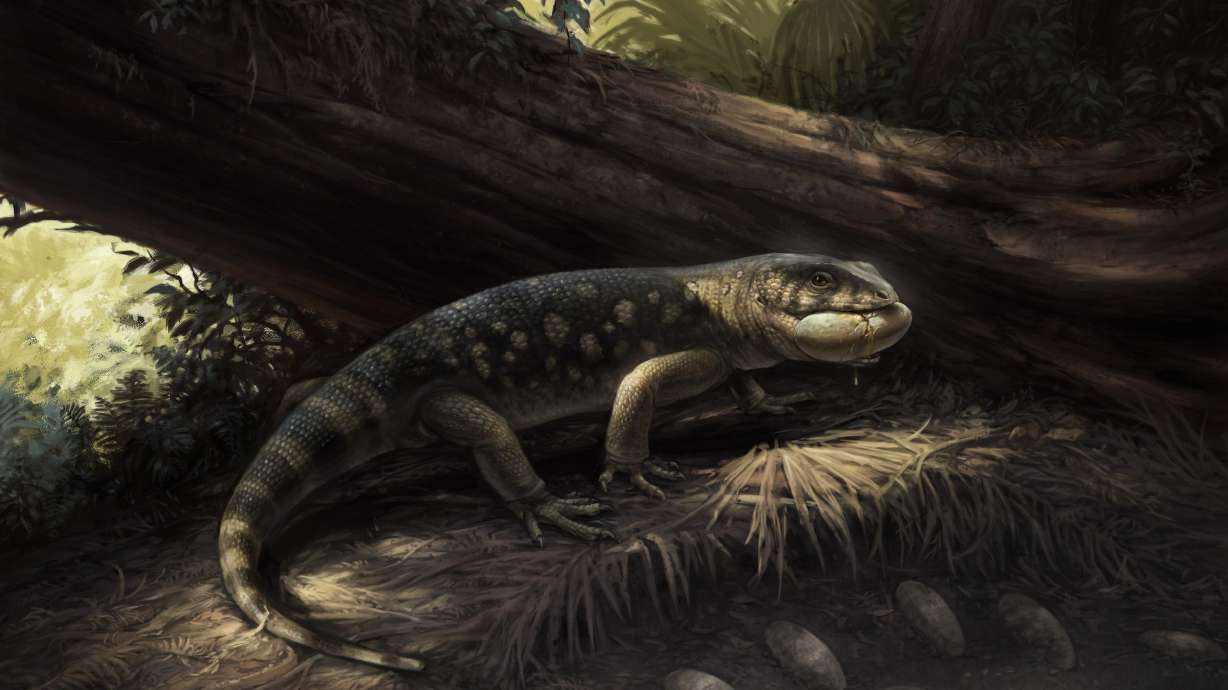 Previously unknown 76M-year-old, raccoon-sized dinosaur species discovered in Utah