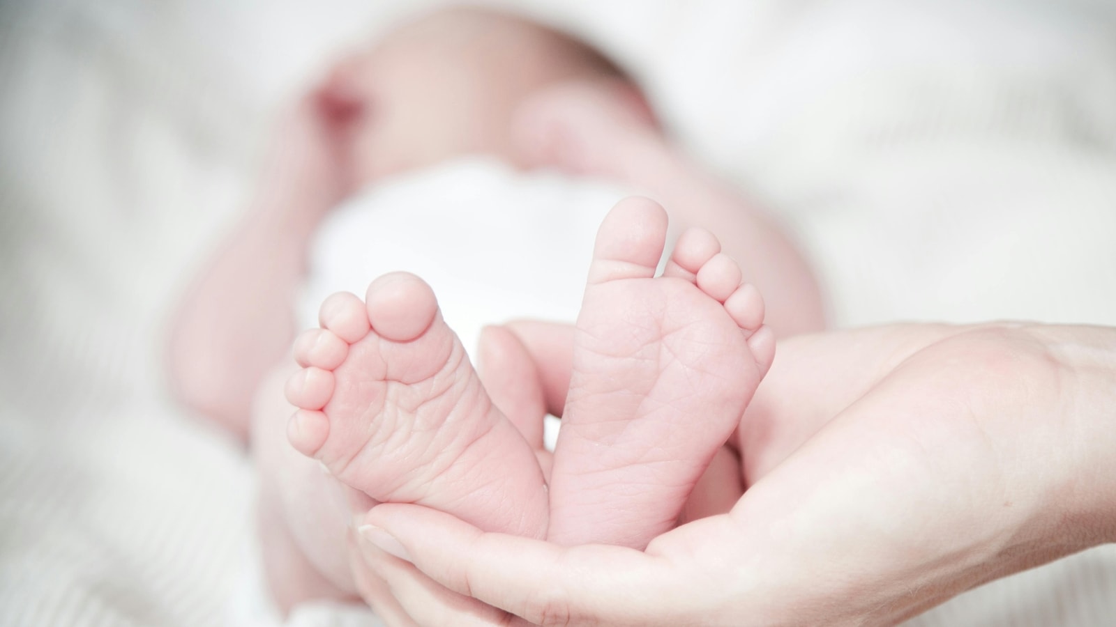‘Bones kept for rituals’: Kerala live-in couple arrested over deaths of two newborns