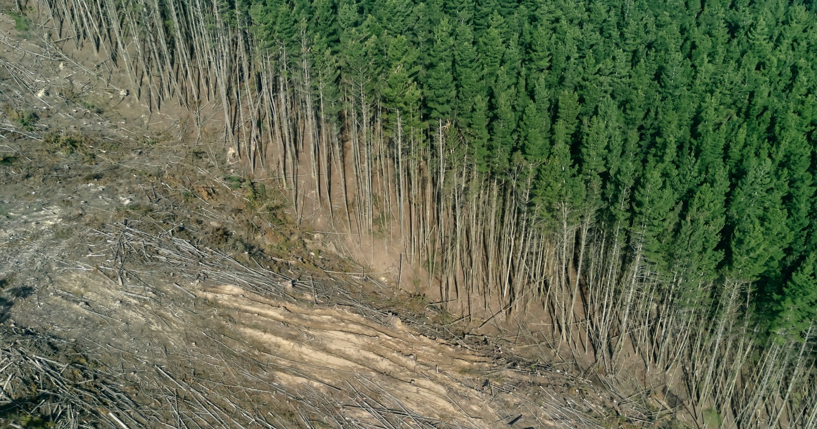 Going Paperless: The Environmental Tradeoffs