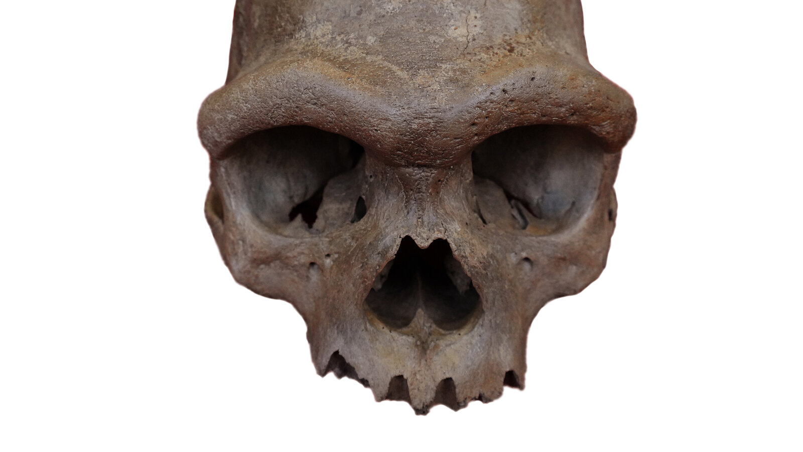 DNA Discovery Gives Mysterious Ancient Humans a Face