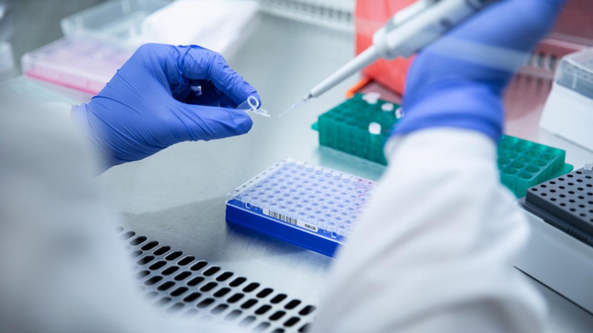 What’s the biggest challenge in DNA analysis?