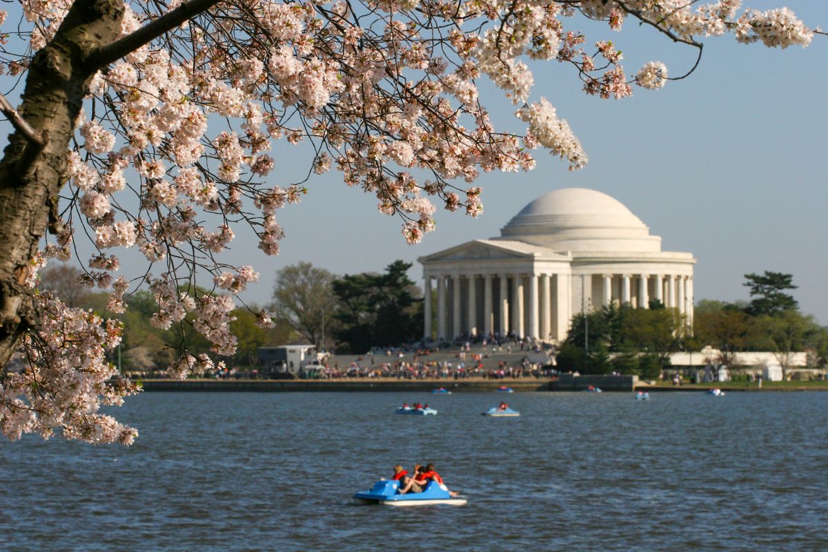 Summer Travel Deals for Veterans: Where to Save on Your Next Getaway