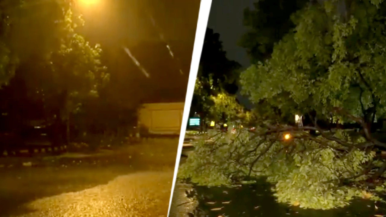 Heavy rain, strong winds lash Delhi-NCR, storm uproot trees