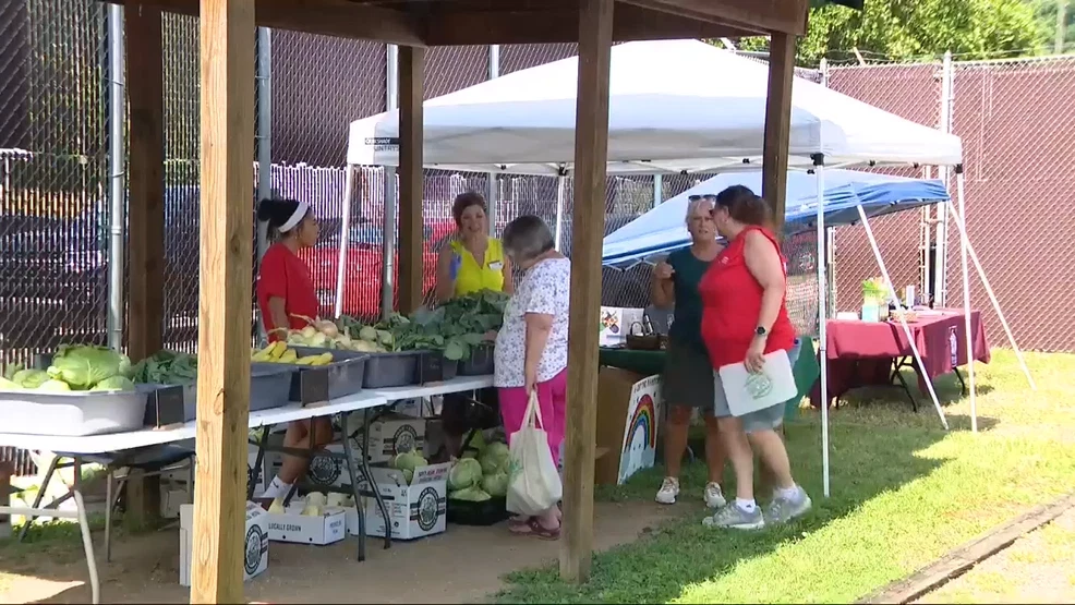 Ohio Valley Health Center hosts health fair to promote wellness