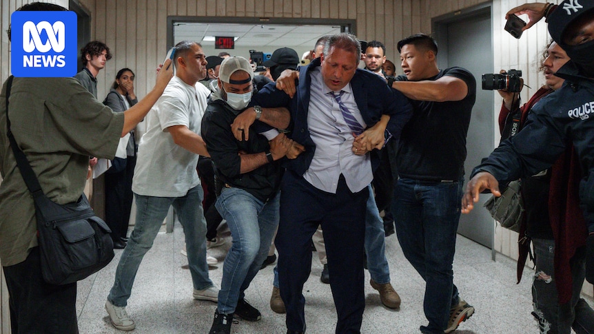 ICE arrests New York mayoral candidate for alleged assault