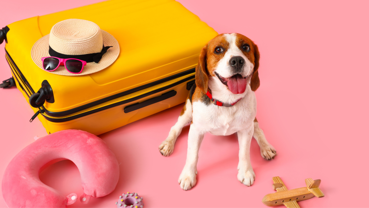 Travel cutbacks: Americans planning shorter, more frequent trips this summer