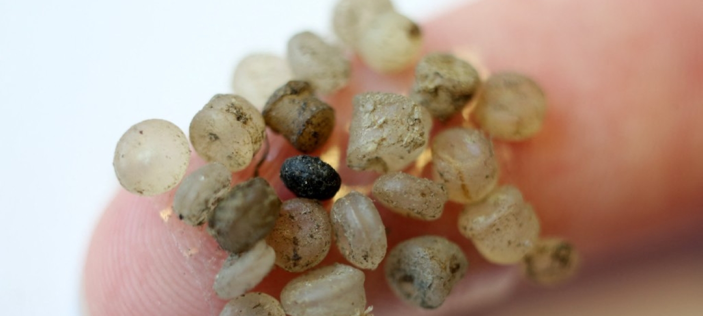Everything you should know about microplastics