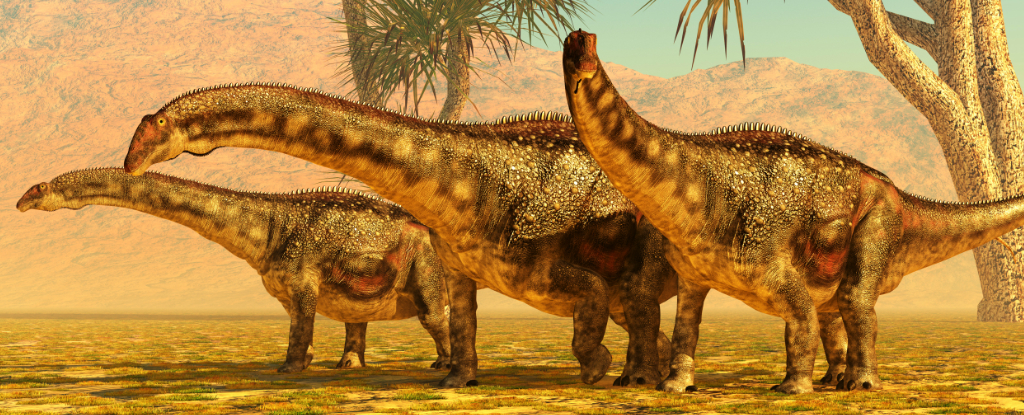 First Evidence of a Sauropod's Last Meal Shows How They Ate Their Food