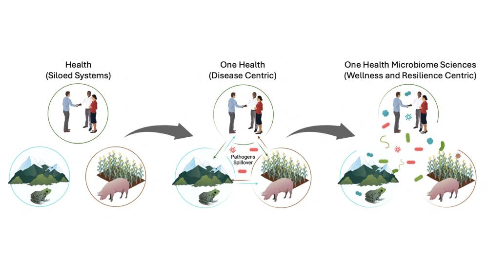 Q&A: Unifying the microbiome sciences for global health and sustainability
