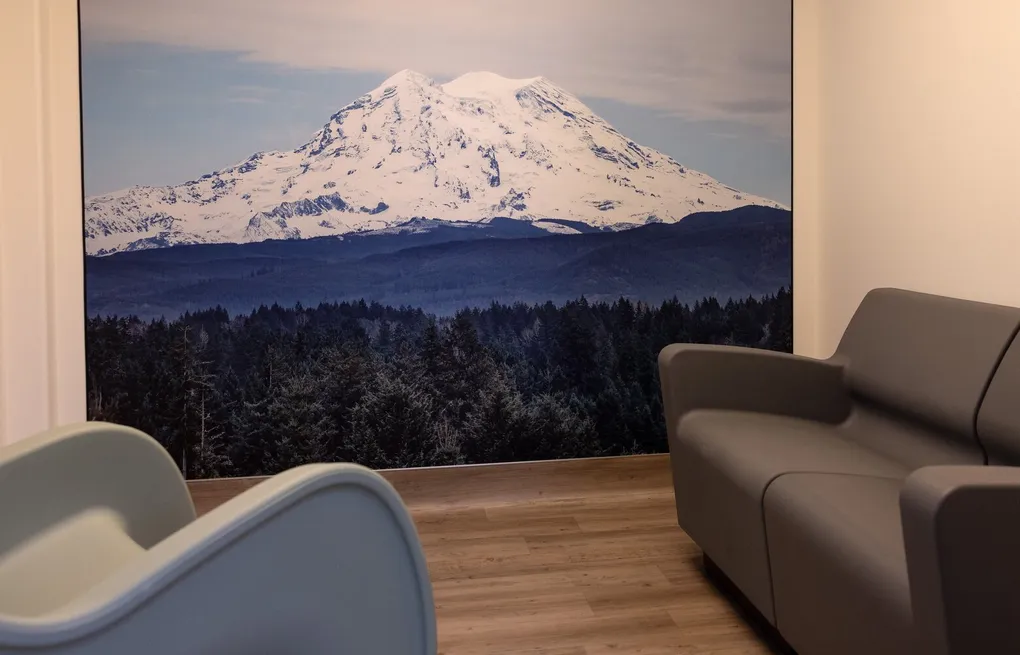 If Trump rescinds mental health insurance rules, what happens in WA?