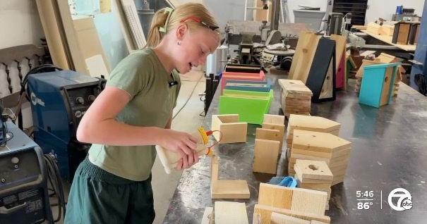 12-year-old Michigan entrepreneur builds successful birdhouse business