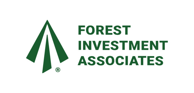 Why forests are the next frontier in climate investment