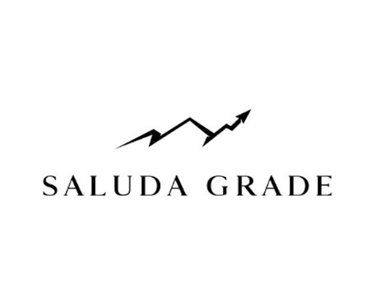 Saluda Grade Buying Hillcrest Finance For Expanding Real Estate Platform