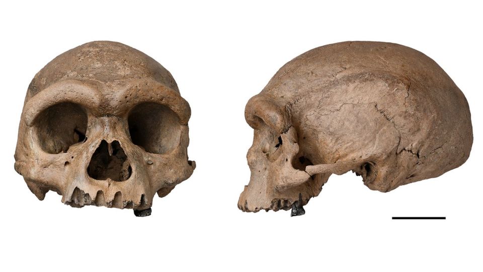 Science recap: This week’s discoveries include new clues from the fossil skull of a mysterious human species